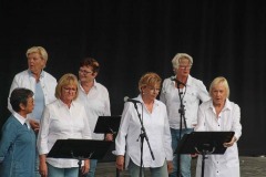 IMG_8410
